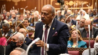 النائب هاني العسال: 