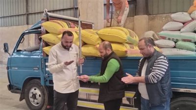 مطابق لشروط التوريد.. شون وصوامع البحيرة تستقبل أكثر من 12 ألف طن قمح محلي
