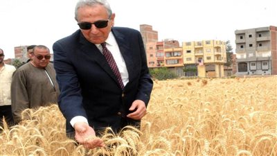  بالصور.. محافظ الغربية يشارك الفلاحين حصاد القمح ويتابع منظومة التوريد