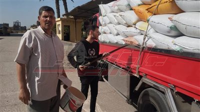 توريد 22409 أطنان و832 كيلو قمح محلي بكفر الشيخ 