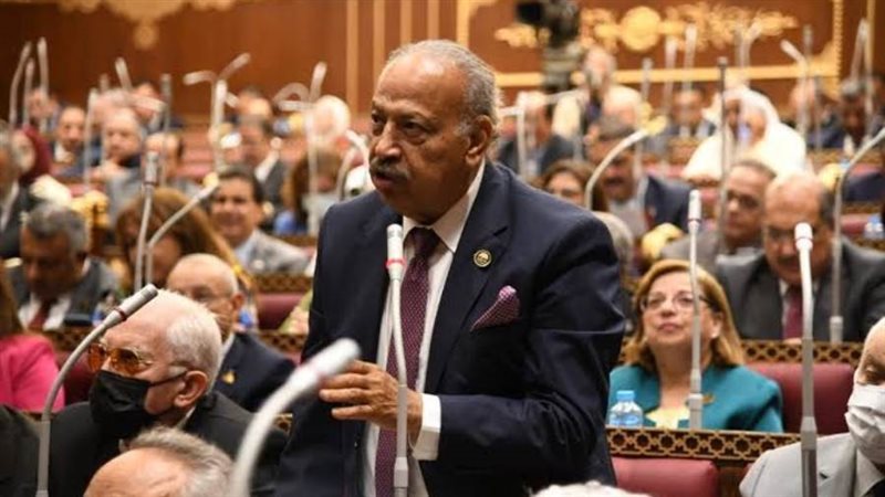 النائب هاني العسال