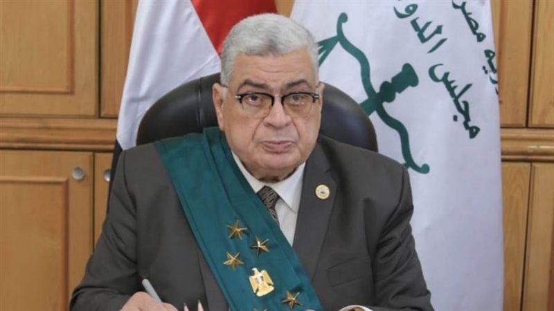 مجلس الدولة