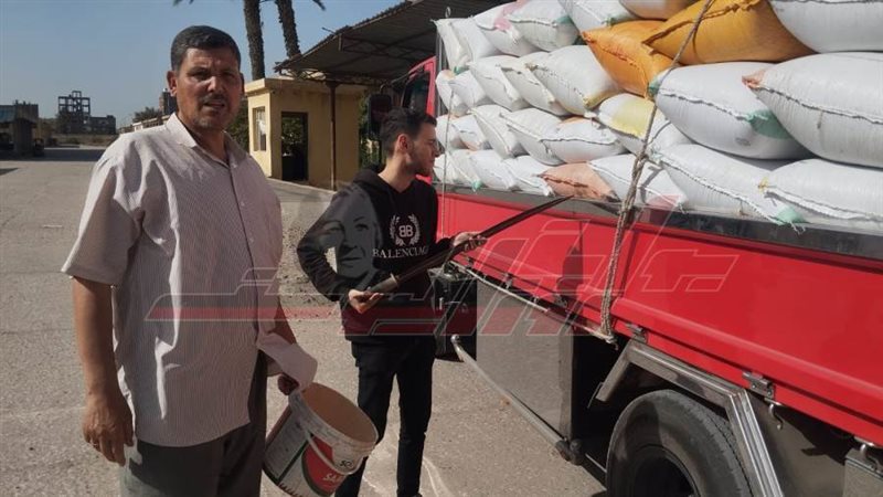 توريد القمح