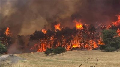 الحرائق في أحراش القدس تتوسع