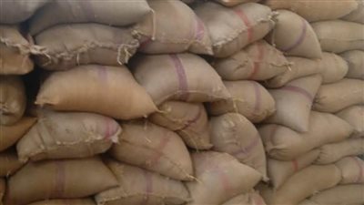 محافظ المنيا: توريد 100 ألف طن قمح بالشون والصوامع