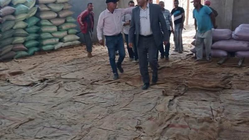 توريد محصول القمح