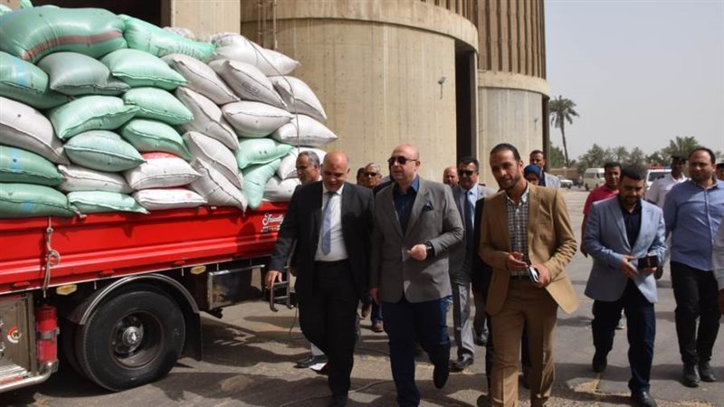 توريد القمح ببنى