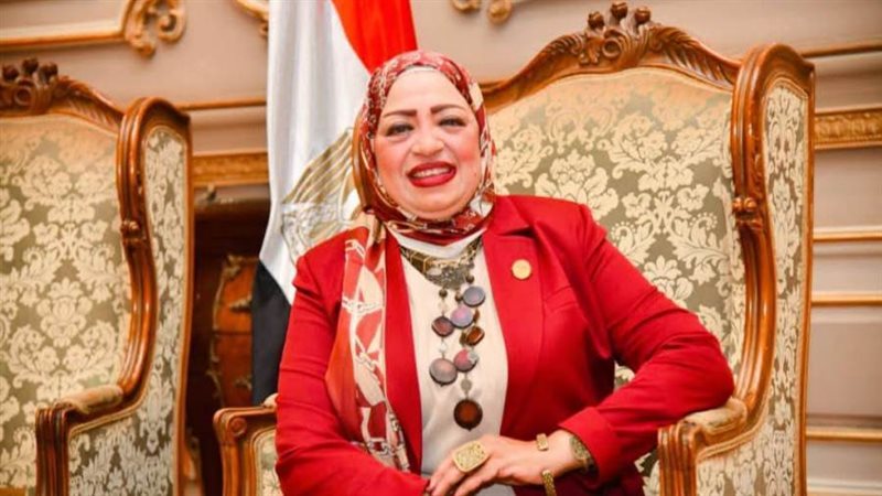 النائبة حنان سليمان