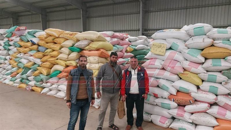 توريد القمح