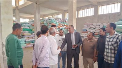 بدون شكاوى.. انتظام توريد القمح المحلي بشون وصوامع البحيرة وسط إجراءات رقابية مشددة 