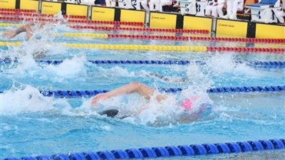 مصر في منافسة شرسة أمام جنوب أفريقيا للحفاظ على صدارة البطولة الأفريقية للسباحة للشباب