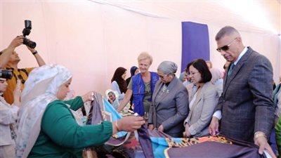 محافظ أسوان يشهد فعاليات مشروع 