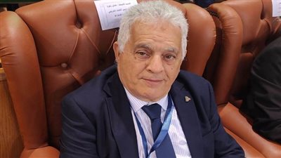 إشادة أفريقية بنجاح مصر في تنظيم بطولة الووشو كونغ فو: تبهر الجميع دائمًا