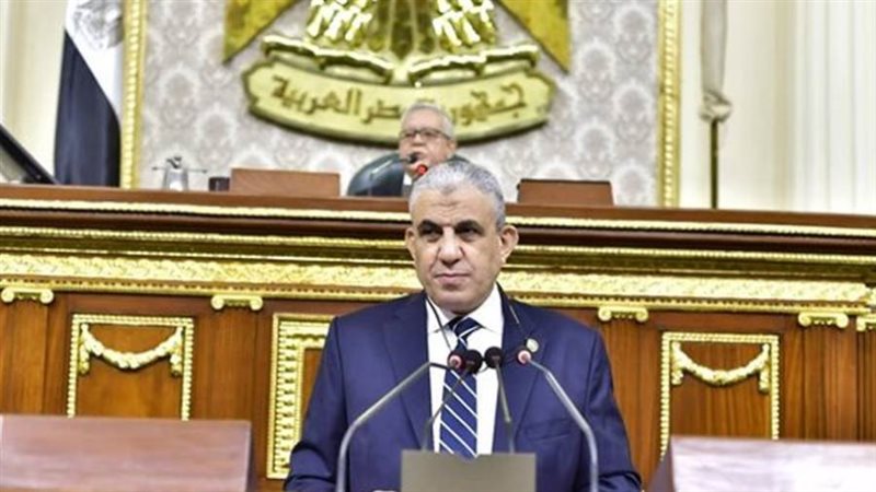 النائب عادل عبدالفضيل