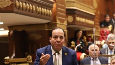 حماة الوطن: الأمن السيبراني ركيزة لحماية الاقتصاد.. وإنشاء مجلس قومي للبنية الرقمية ضرورة