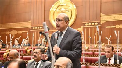 رئيس برلمانية الشعب الجمهوري بالشيوخ: 