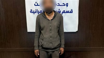 كشف ملابسات تداول مقطع فيديو بتضرر سيدة من شخص ربط قططا بالجيزة