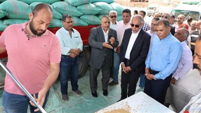 محافظ المنيا يتابع انتظام أعمال توريد محصول القمح من داخل صومعة نفرتيتي