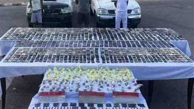 ضبط تشكيل عصابي بجنوب سيناء بحيازته مواد مخدرة قيمتها  أكثر من 3 ملايين جنيه