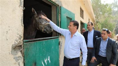 وزير الزراعة ومحافظ القاهرة يتفقدان محطة الزهراء للخيول العربية الأصيلة