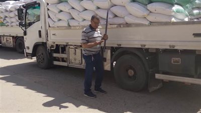 شاهد| بشون وصوامع البحيرة.. استقبال 54169 طن قمح محلي مطابق للمواصفات 