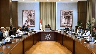 مدبولي يستقبل الرئيس التنفيذي لشركة 