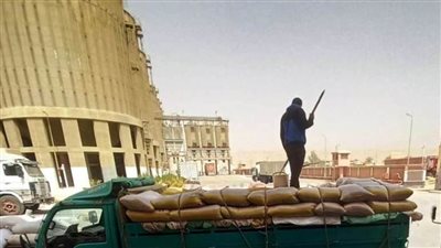 محافظ سوهاج: توريد 82 ألف طن قمح.. وصرف أكثر من مليار جنيه مستحقات للمزارعين