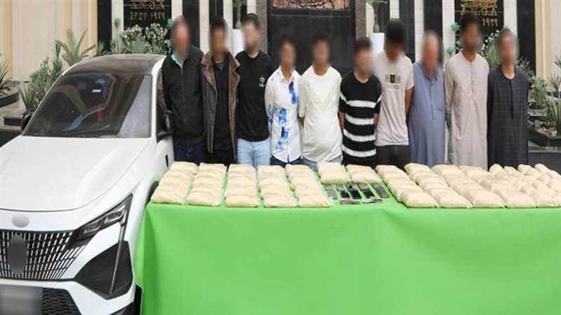 الحشيش الاصنطاعي