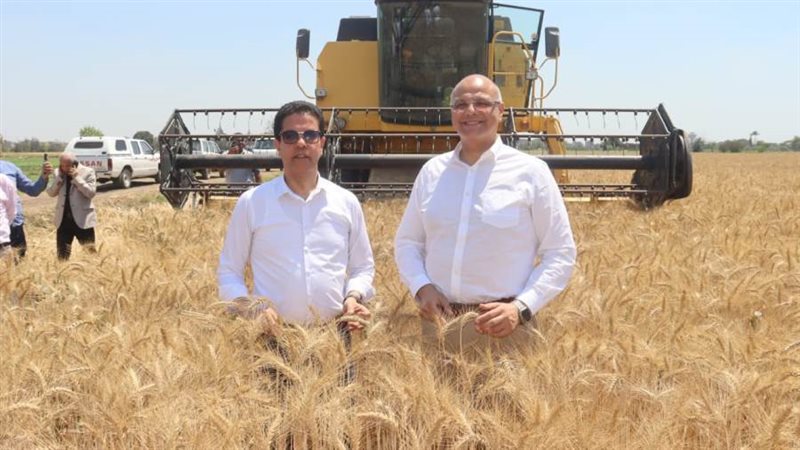 محافظ القليوبية ورئيس