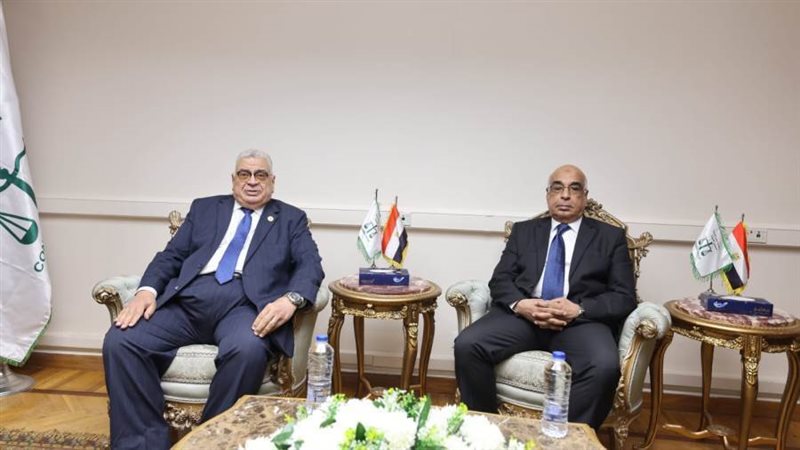 مجلس الدولة