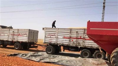 محافظ أسوان توريد 158 ألفًا و676 طنا من القمح بالصوامع والشون والبناكر داخل وخارج المحافظة 