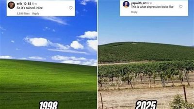 عاجل| أضفت بهجة على شاشات الكمبيوتر.. الصورة الأكثر مشاهدة كيف تحولت لبائسة؟