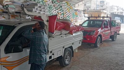 وسط إجراءات مشددة.. توريد أكثر من 74 ألف طن قمح لشون وصوامع البحيرة