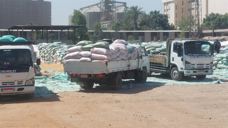 توريد القمح بأسيوط