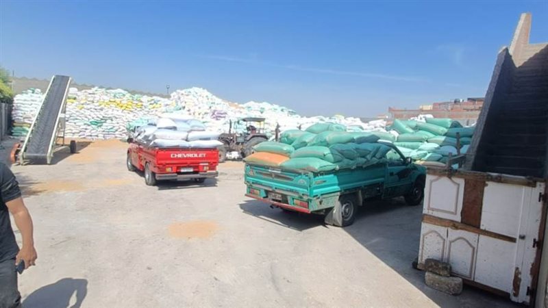 توريد القمح