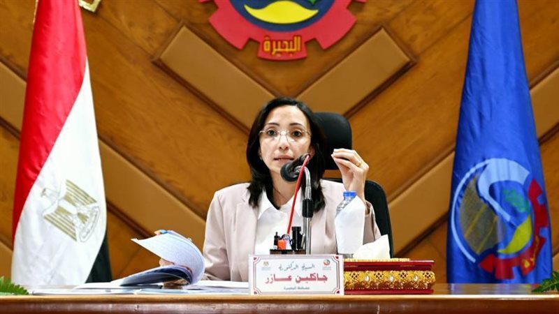 محافظ البحيره