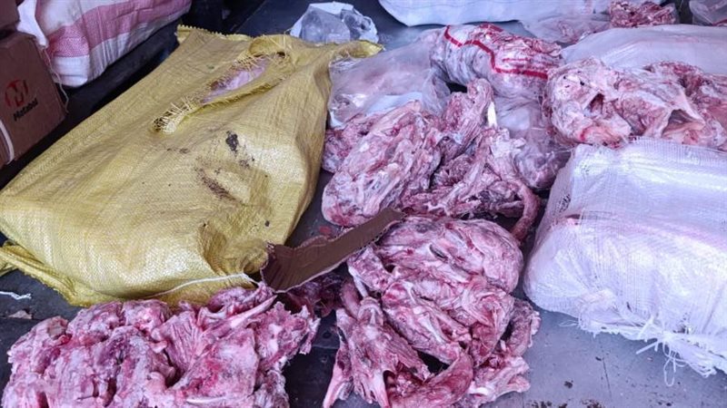 هياكل دواجن فاسدة