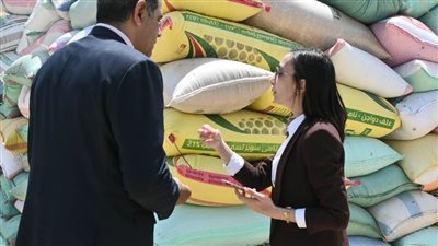 شاهد.. محافظ البحيرة تتابع أعمال توريد الأقماح بعدد من شون دمنهور