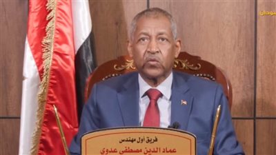 سفير السودان بالقاهرة: القمة العربية ببغداد محطة مهمة لدعم العمل المشترك والتكامل العربي