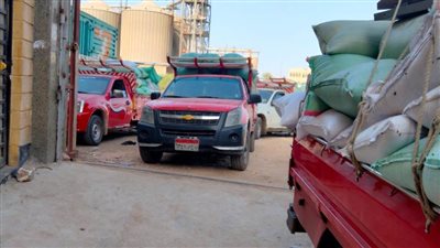 ارتفاع معدلات توريد القمح بالبحيرة إلى 85415 طنًا 