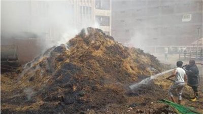 بالصور.. إخماد حريق في مخلقات قش الأرز داخل مدرسة ناصر الزراعية بالغربية