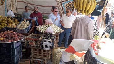 محافظ الدقهلية يتابع الالتزام بالأسعار في منافذ البيع وسوق اليوم الواحد 
