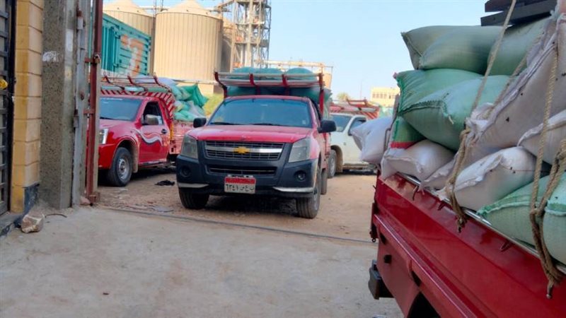 توريد القمح