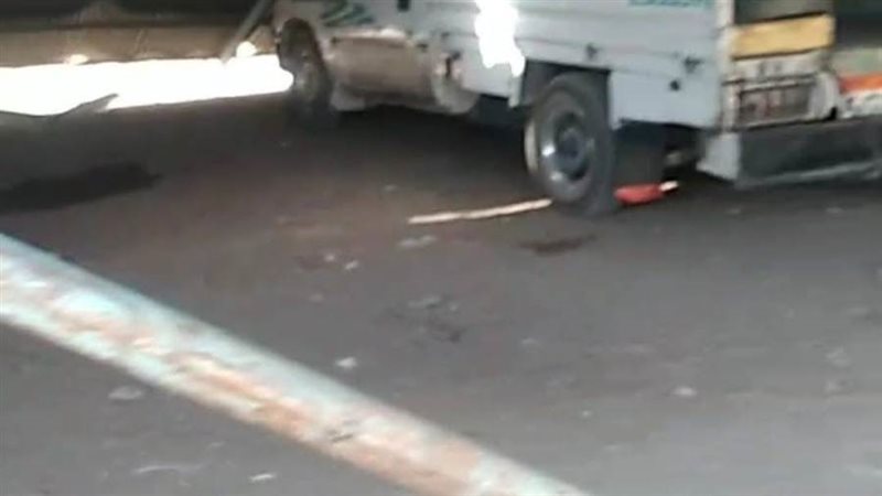 بوابة روز اليوسف