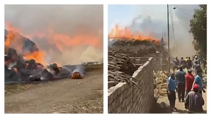 بوابة روز اليوسف