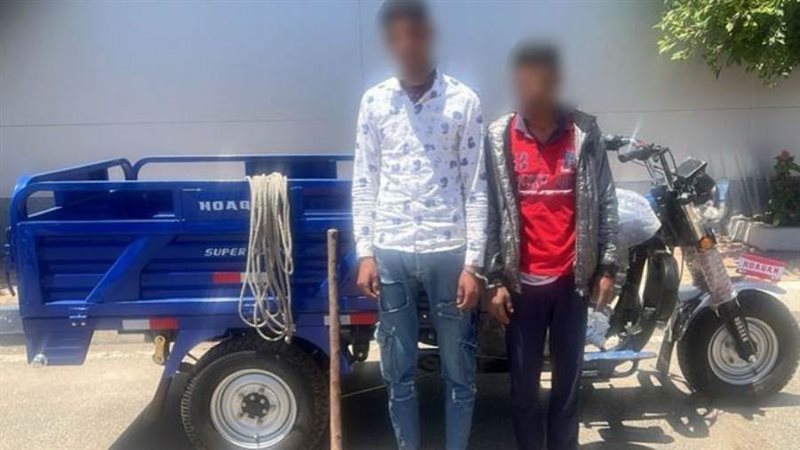 بوابة روز اليوسف