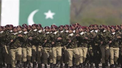 عاجل| خدعة القطط المقدسة في الحرب.. هل تستغل باكستان الأبقار ضد الهند؟