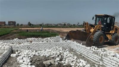حفاظًا على الرقعة الزراعية وأراضي الدولة.. إزالة 27 حالة تعدٍ بمساحة 2822 مترًا بالبحيرة 