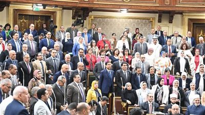 نواب: قانون تنظيم الفتوى يواجه الفتاوى الإرهابية ويتصدى للإفتاء عبر السوشيال ميديا 