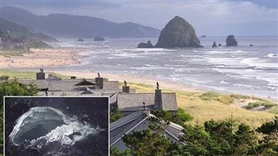 عاجل.. فشل توقعات العلماء الأمريكيين بشأن ثوران  بركان جبل أكسيال البحري